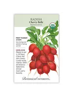 Botanical Interests Radish Cherry Belle Organic