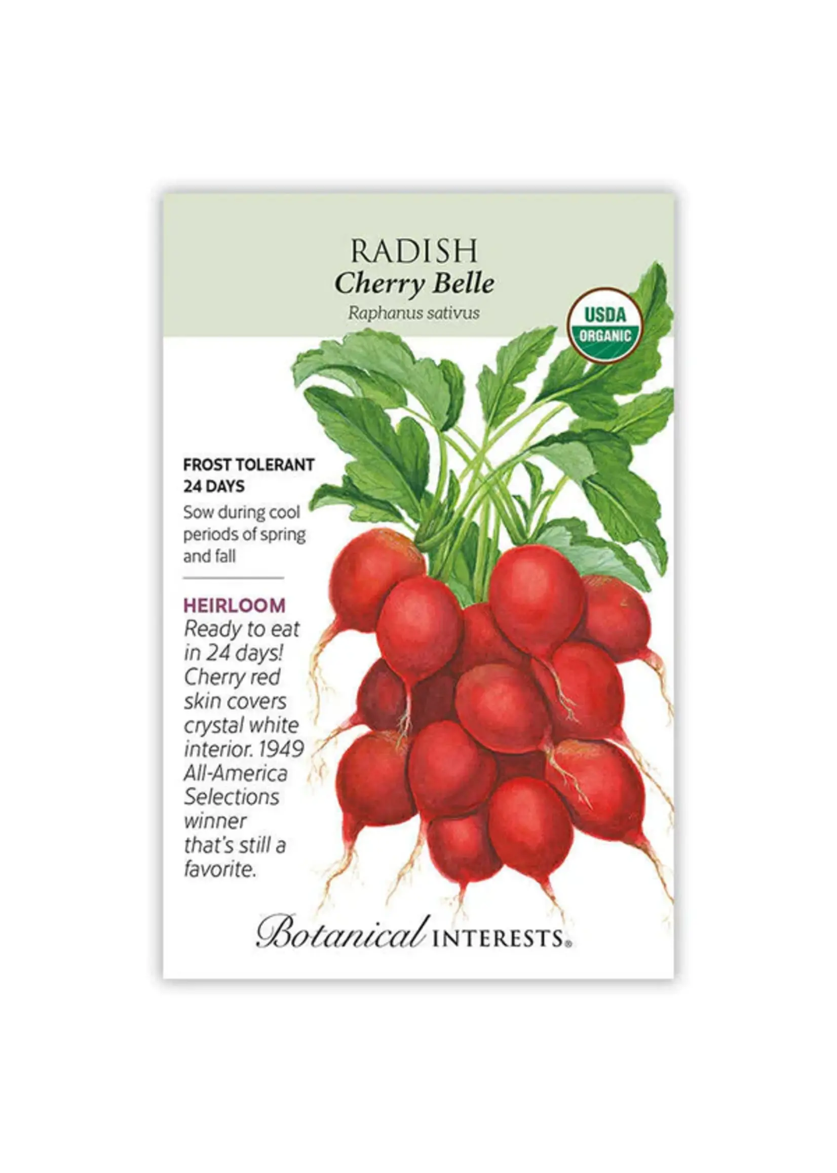Botanical Interests Radish Cherry Belle Organic