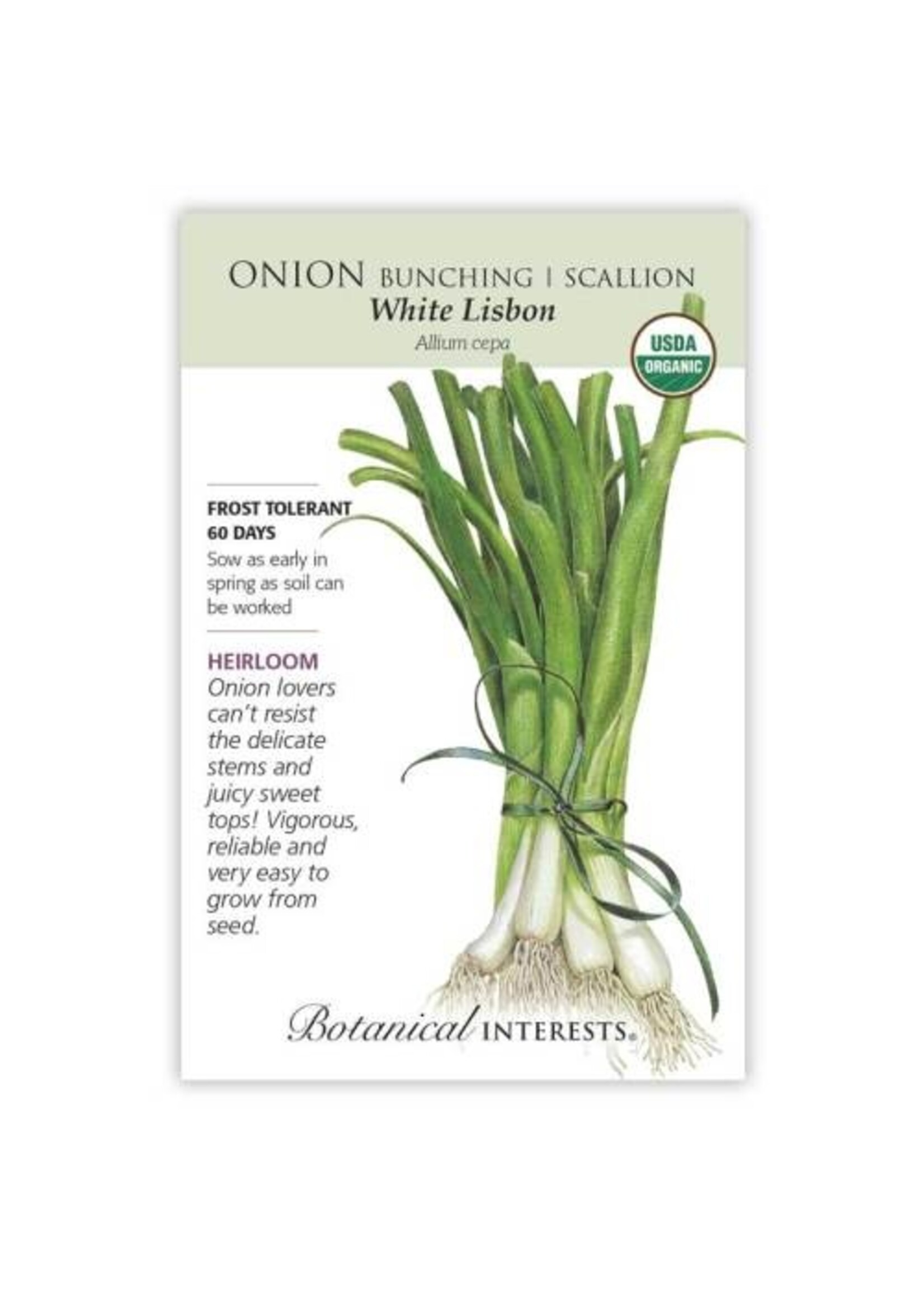 Botanical Interests Onion Bunching (white) Lisbon Organic