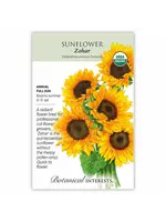 Botanical Interests Sunflower Zohar hybrid Organic