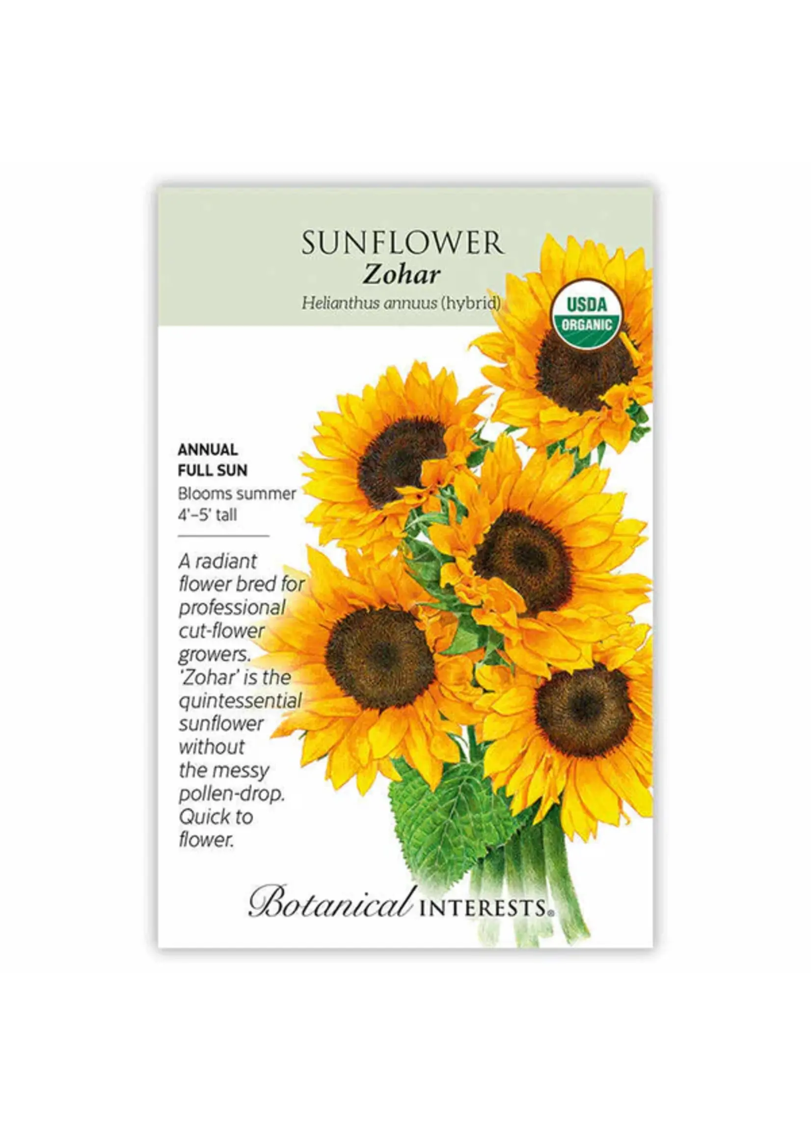 Botanical Interests Sunflower Zohar hybrid Organic