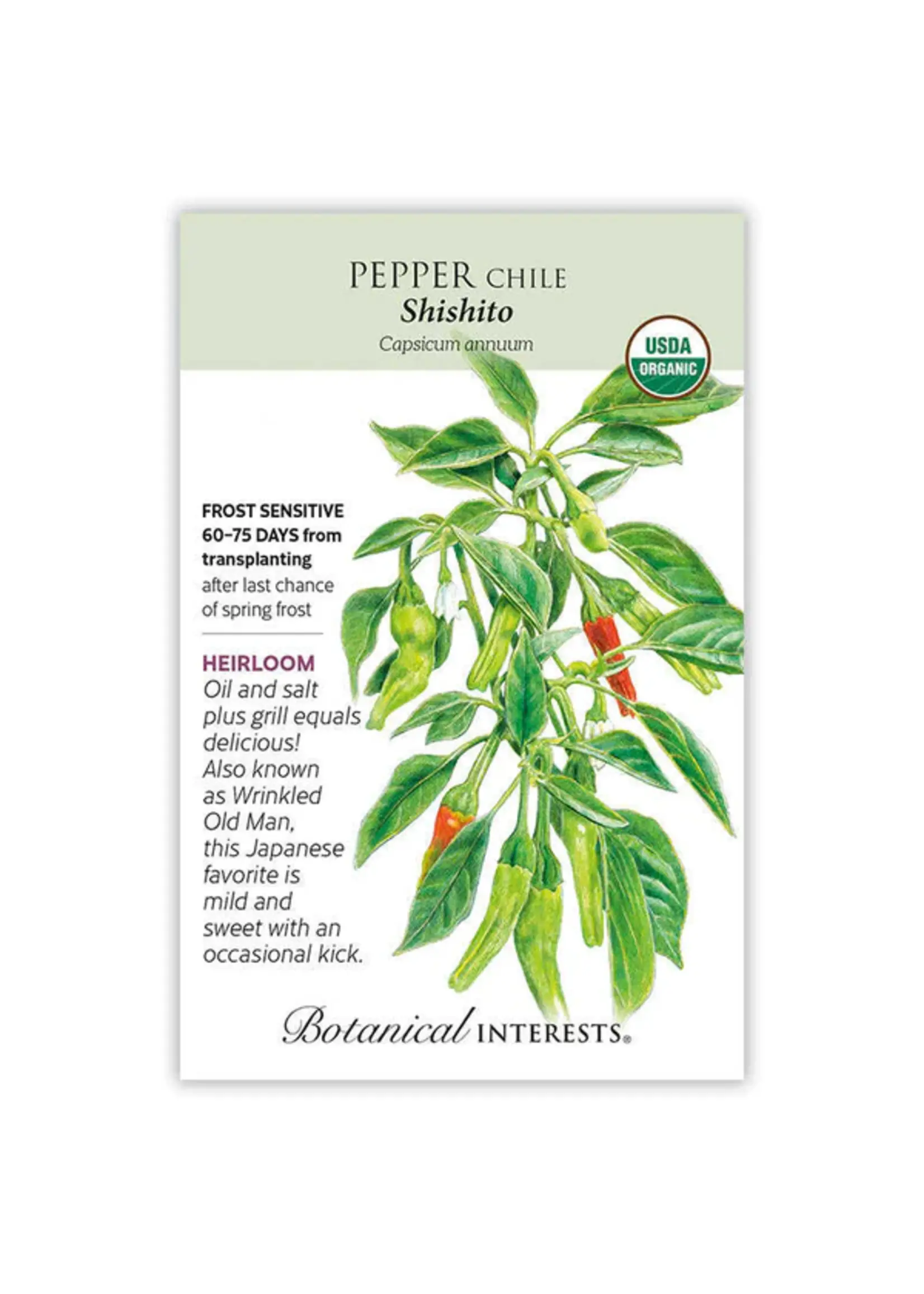 Botanical Interests Pepper Chile Shishito Organic