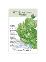 Botanical Interests Lettuce Romaine Little Gem Organic