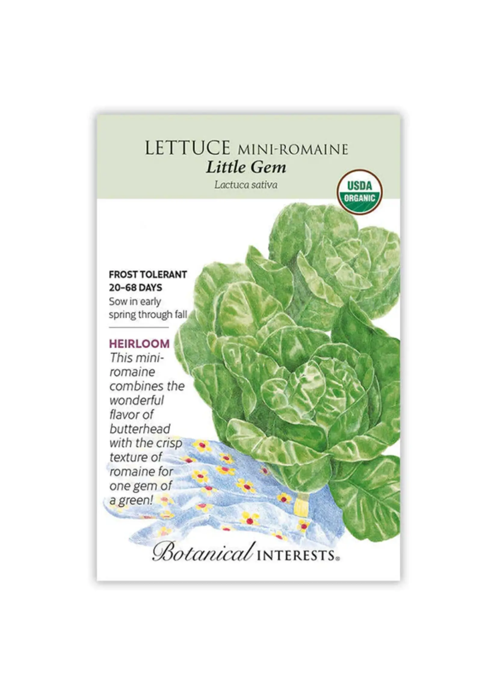 Botanical Interests Lettuce Romaine Little Gem Organic