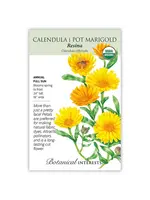 Botanical Interests Calendula Pot Marigold Resina Organic