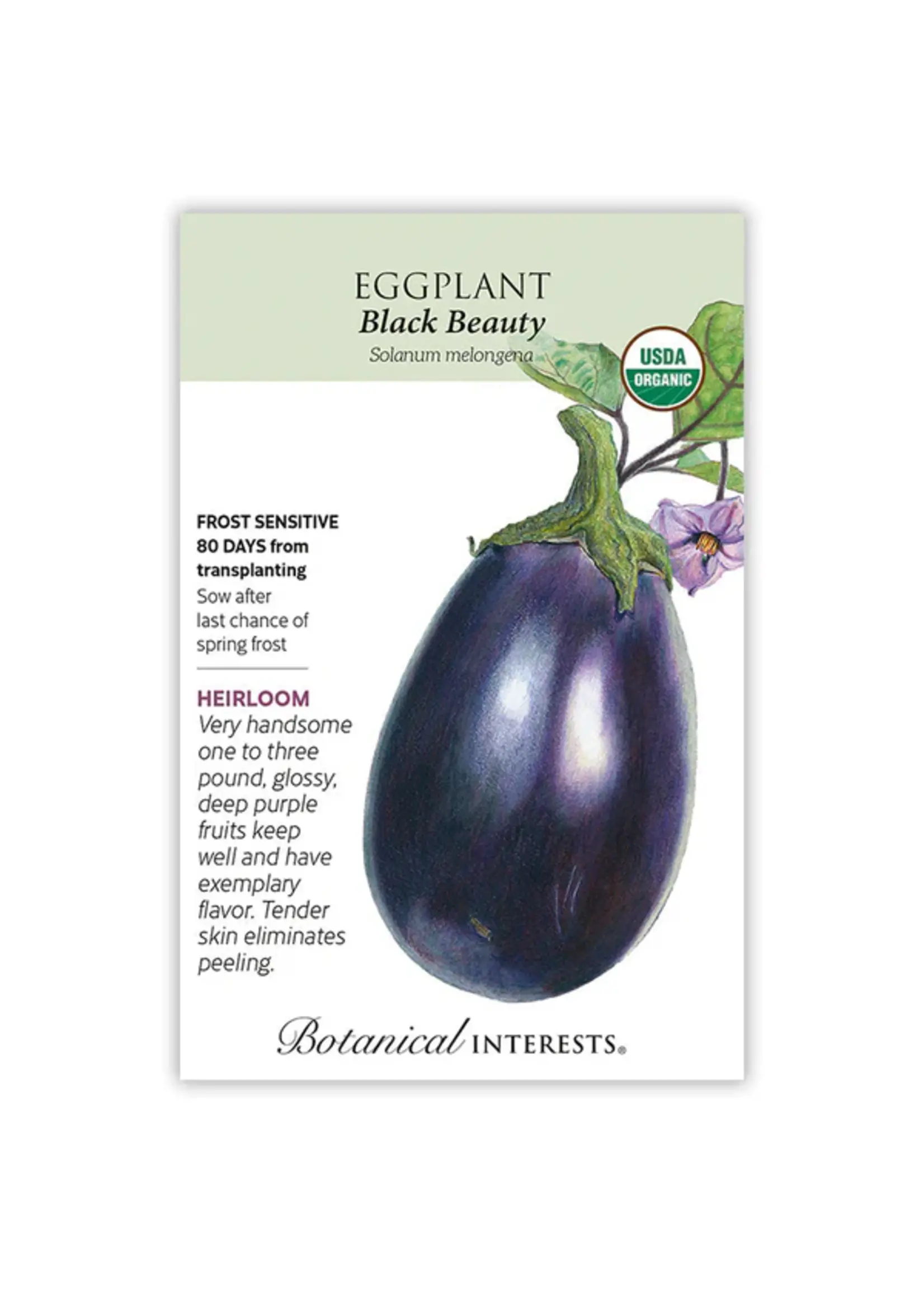 Botanical Interests Eggplant Black Beauty Organic