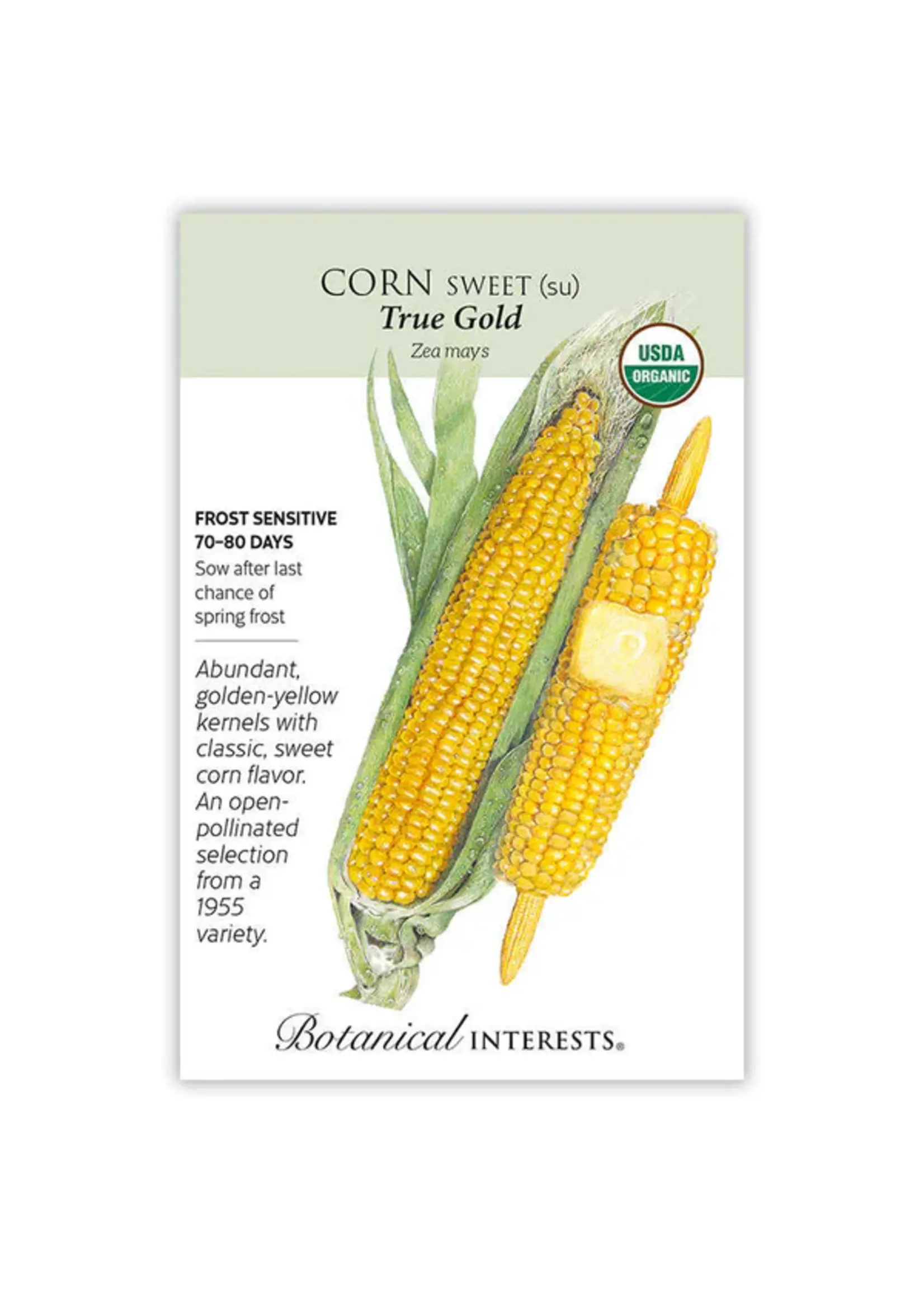 Botanical Interests Corn Sweet (yellow) True Gold Organic