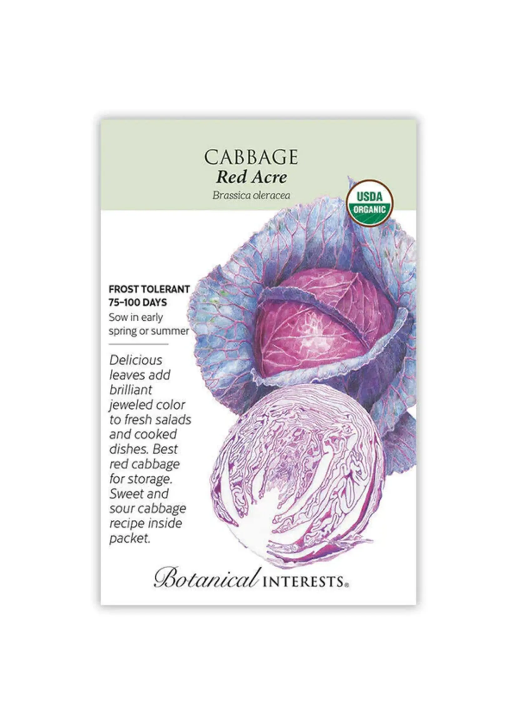 Botanical Interests Cabbage Red Acre Organic