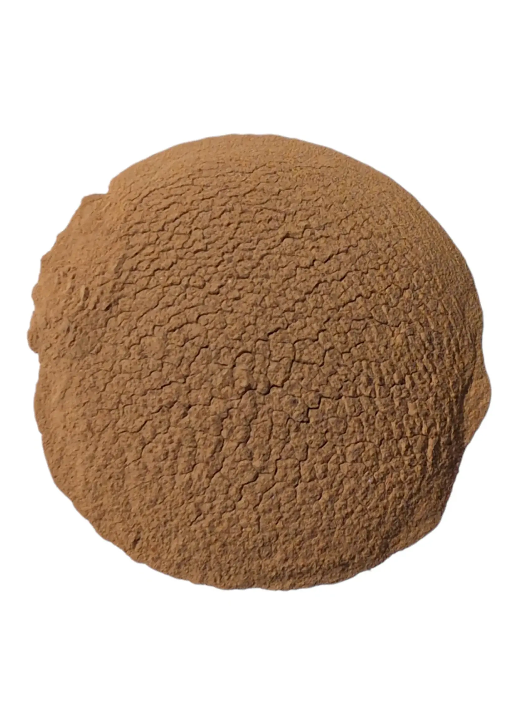 Build-A-Soil Build-A-Soil Horticultural Aloe