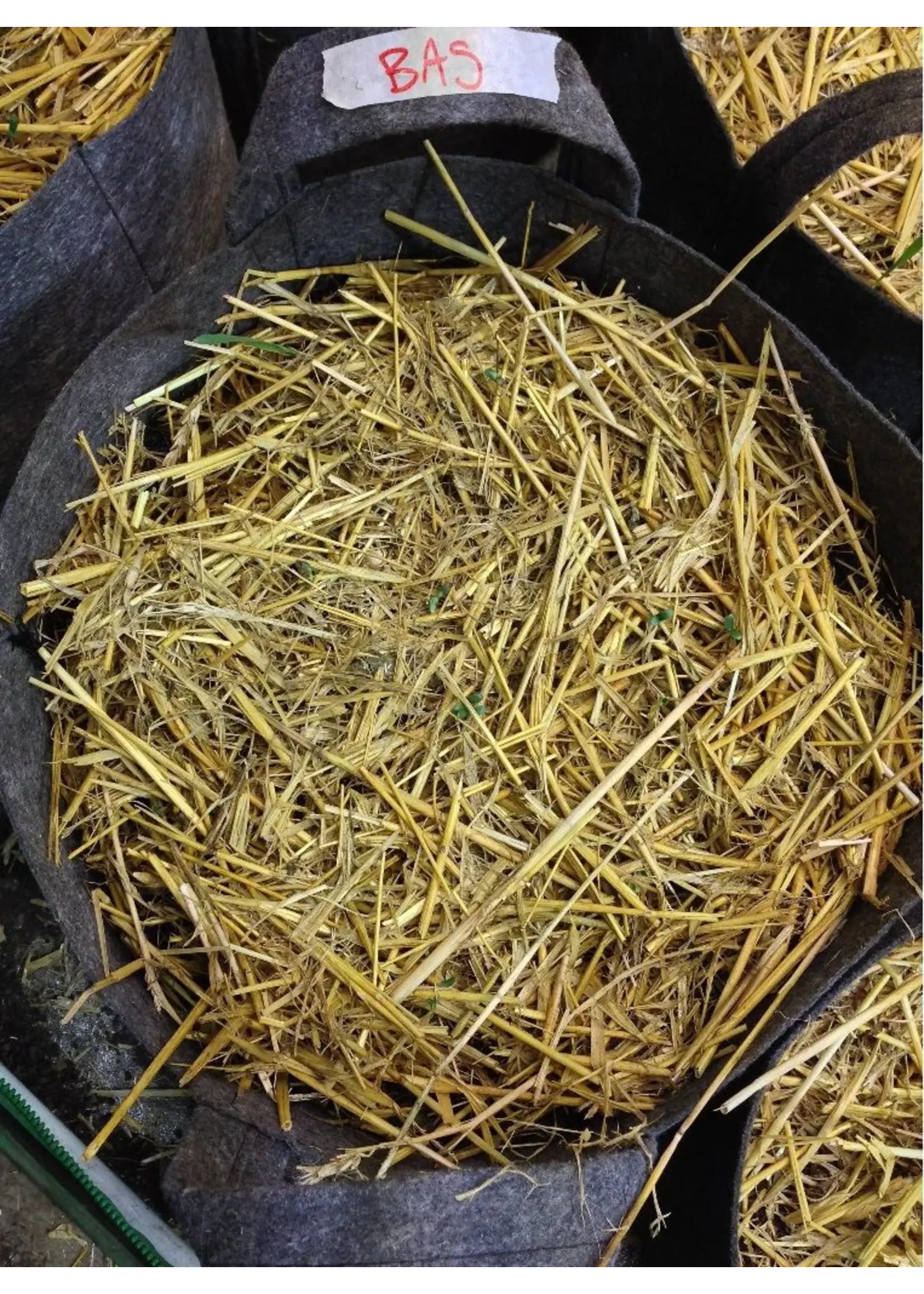 Build-A-Soil Build-A-Soil Organic Straw Mulch