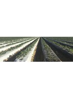Solplast Row Mulch Weed Barrier Black and White 1mil - 36in x 4000ft