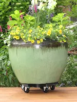 Down Under Plant Caddy 16 Inch Diameter Supports 500lb