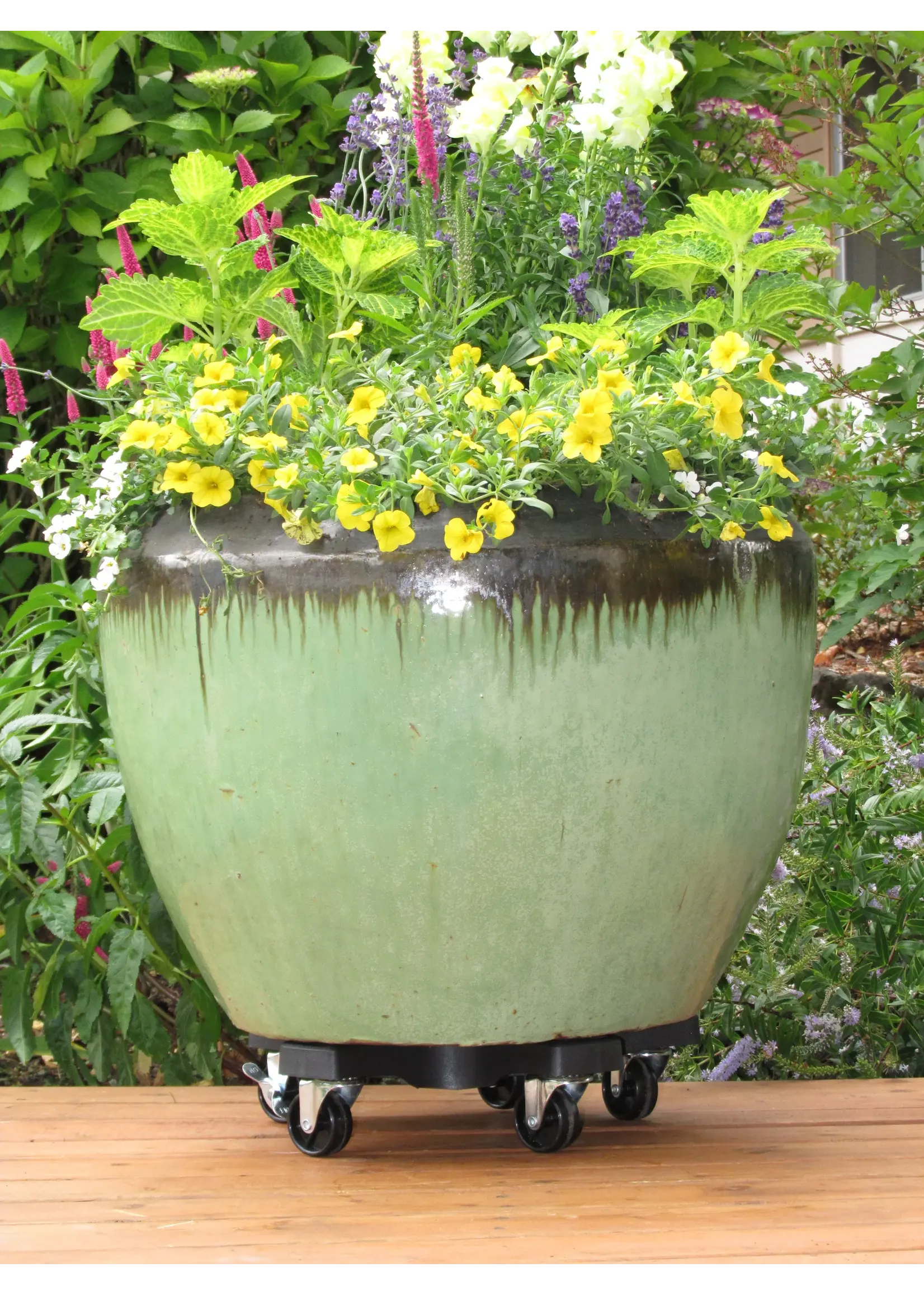 Down Under Plant Caddy 16 Inch Diameter Supports 500lb