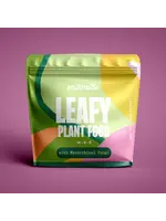 Southside Southside Leafy Plant Food 14-4-9 (5oz)