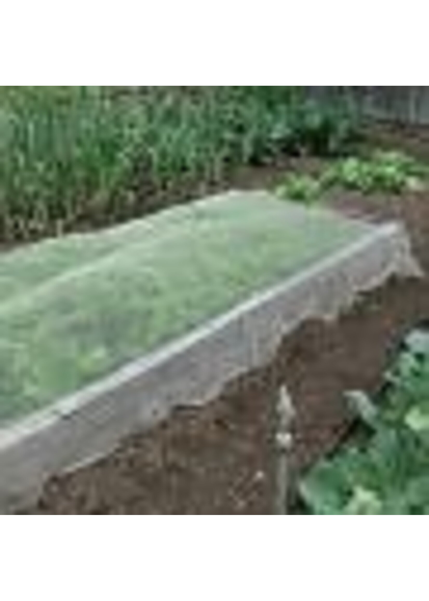 American Nettings & Fabric Inc BugOut Insect Garden Screen 6.5ft x 20ft