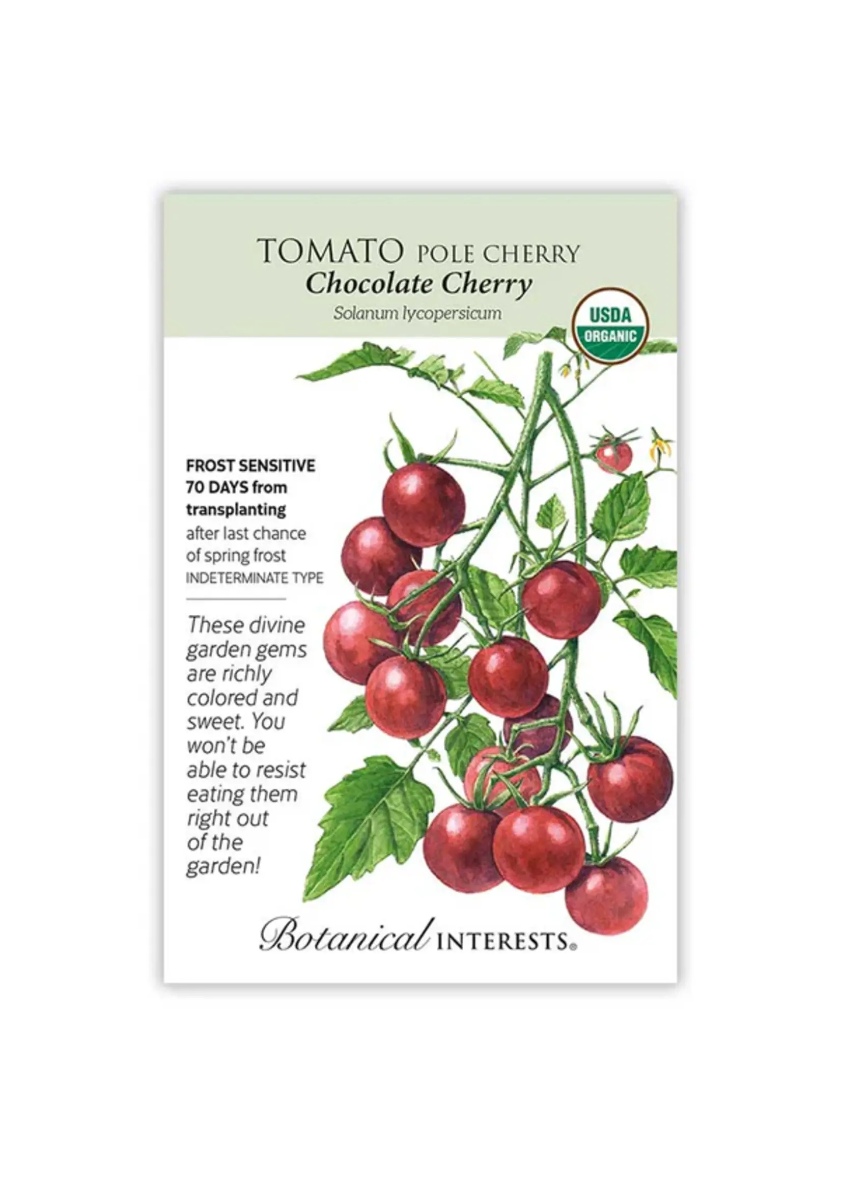 Botanical Interests Tomato Cherry Chocolate Organic