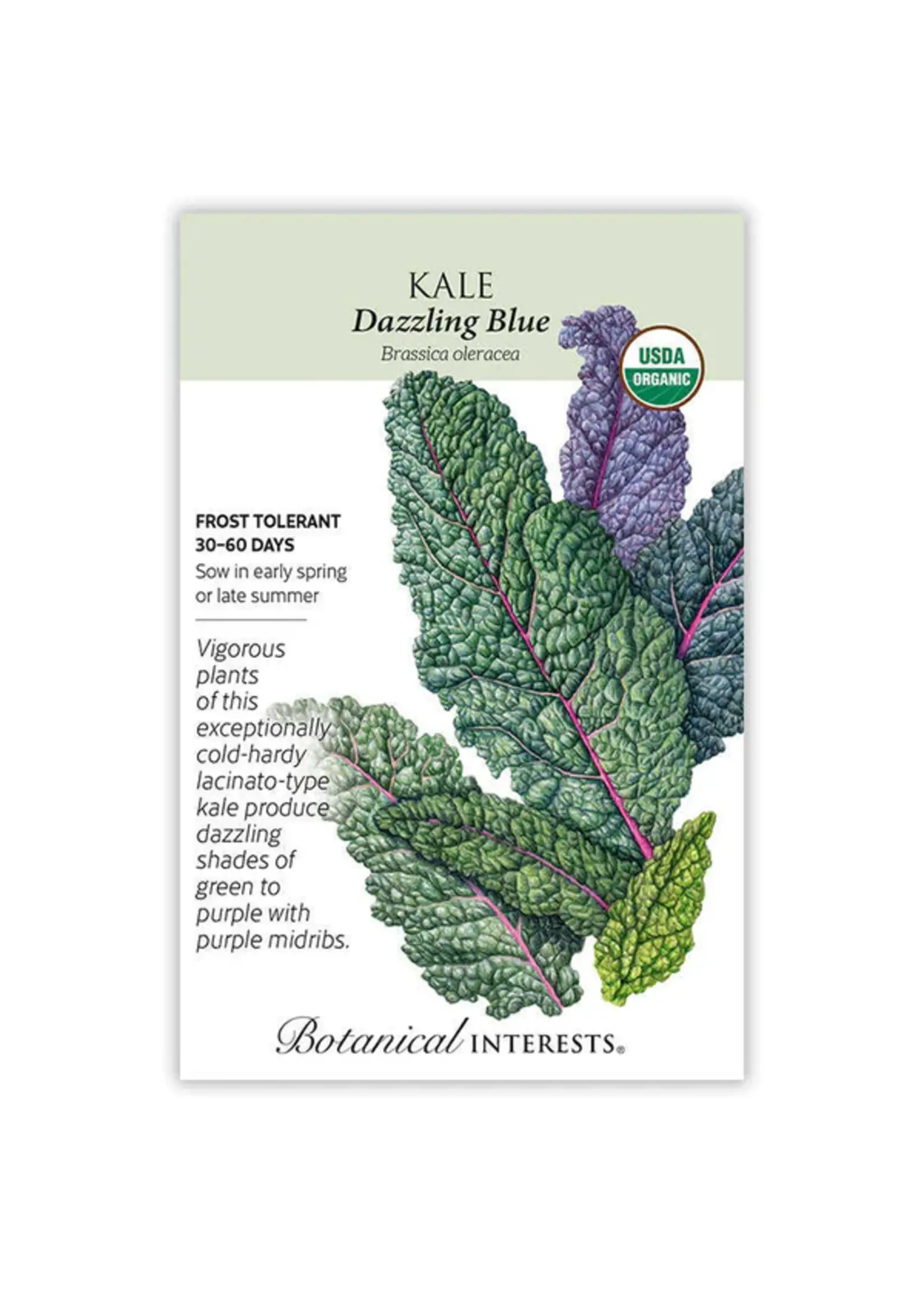 Botanical Interests Kale Dazzling Blue Organic