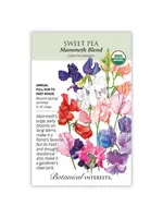 Botanical Interests Sweet Pea Mammoth Organic