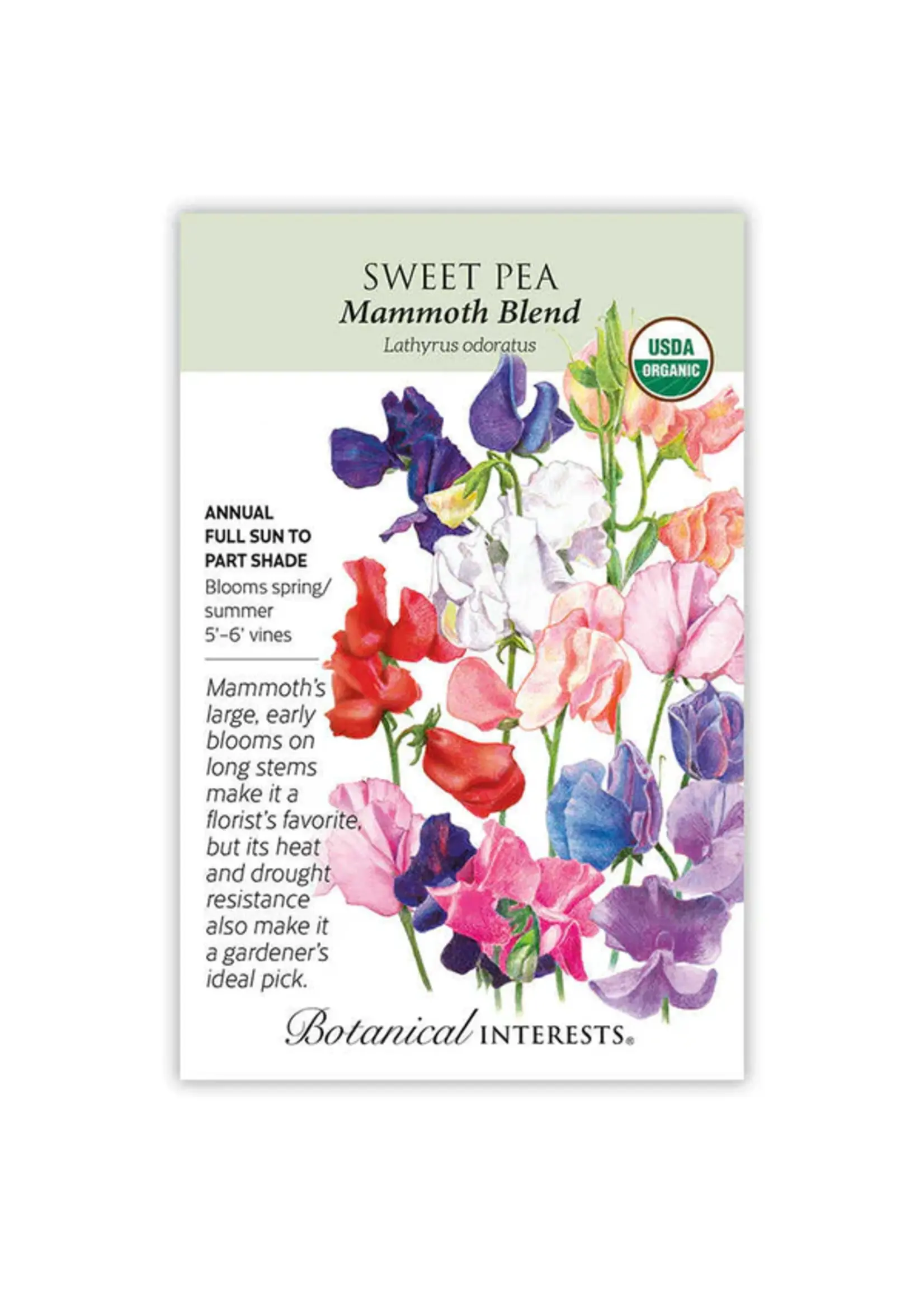Botanical Interests Sweet Pea Mammoth Organic