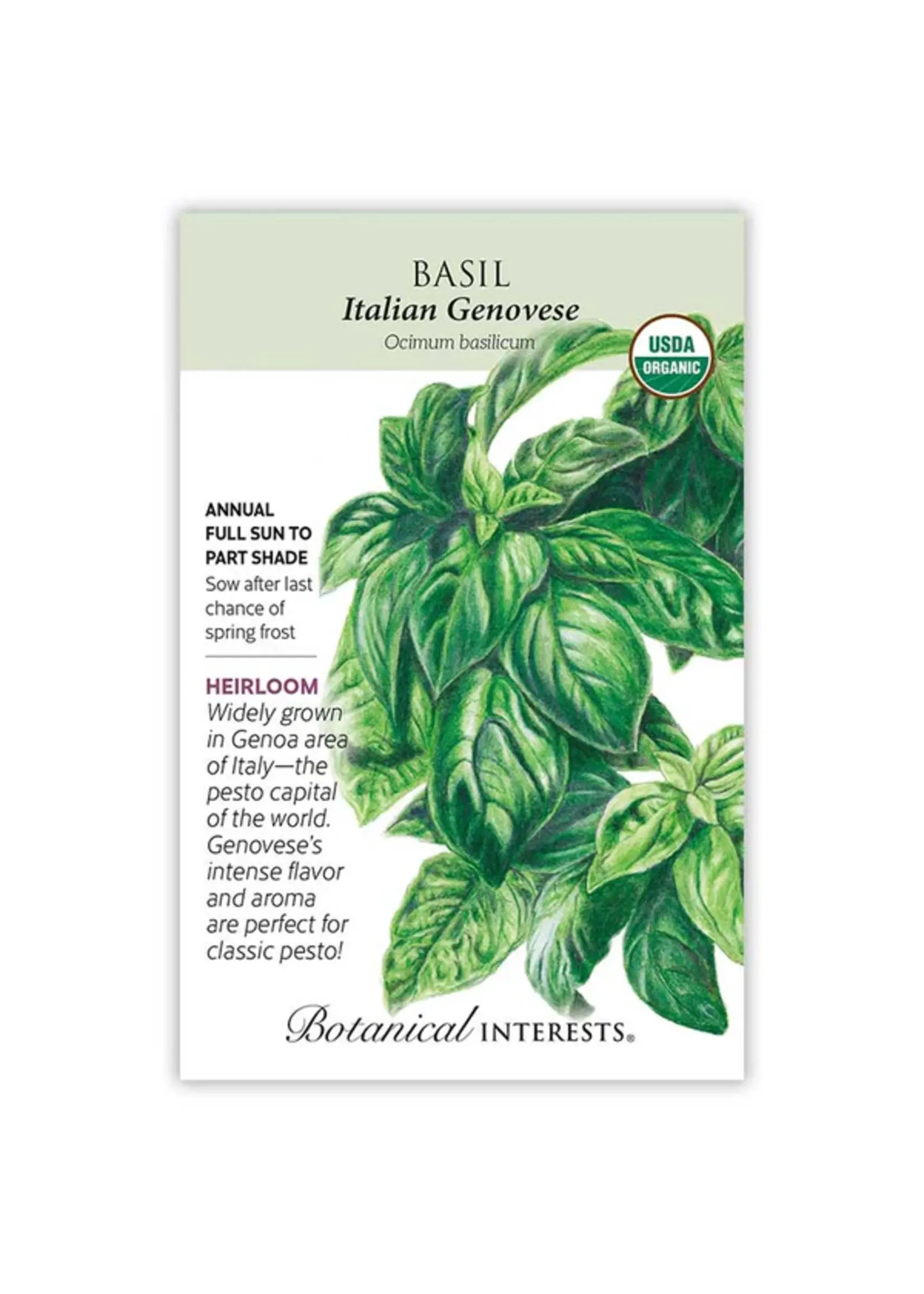 Botanical Interests Basil Italian Genovese Organic 1.5g