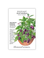 Botanical Interests Eggplant Jewel Amethyst