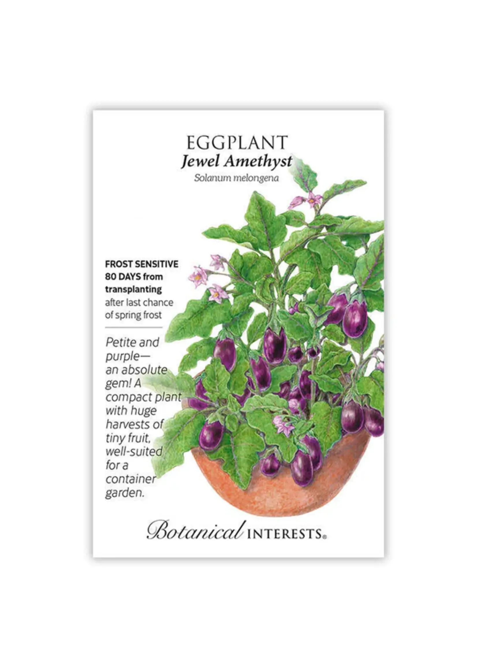 Botanical Interests Eggplant Jewel Amethyst