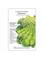 Botanical Interests Cauliflower Romanesco