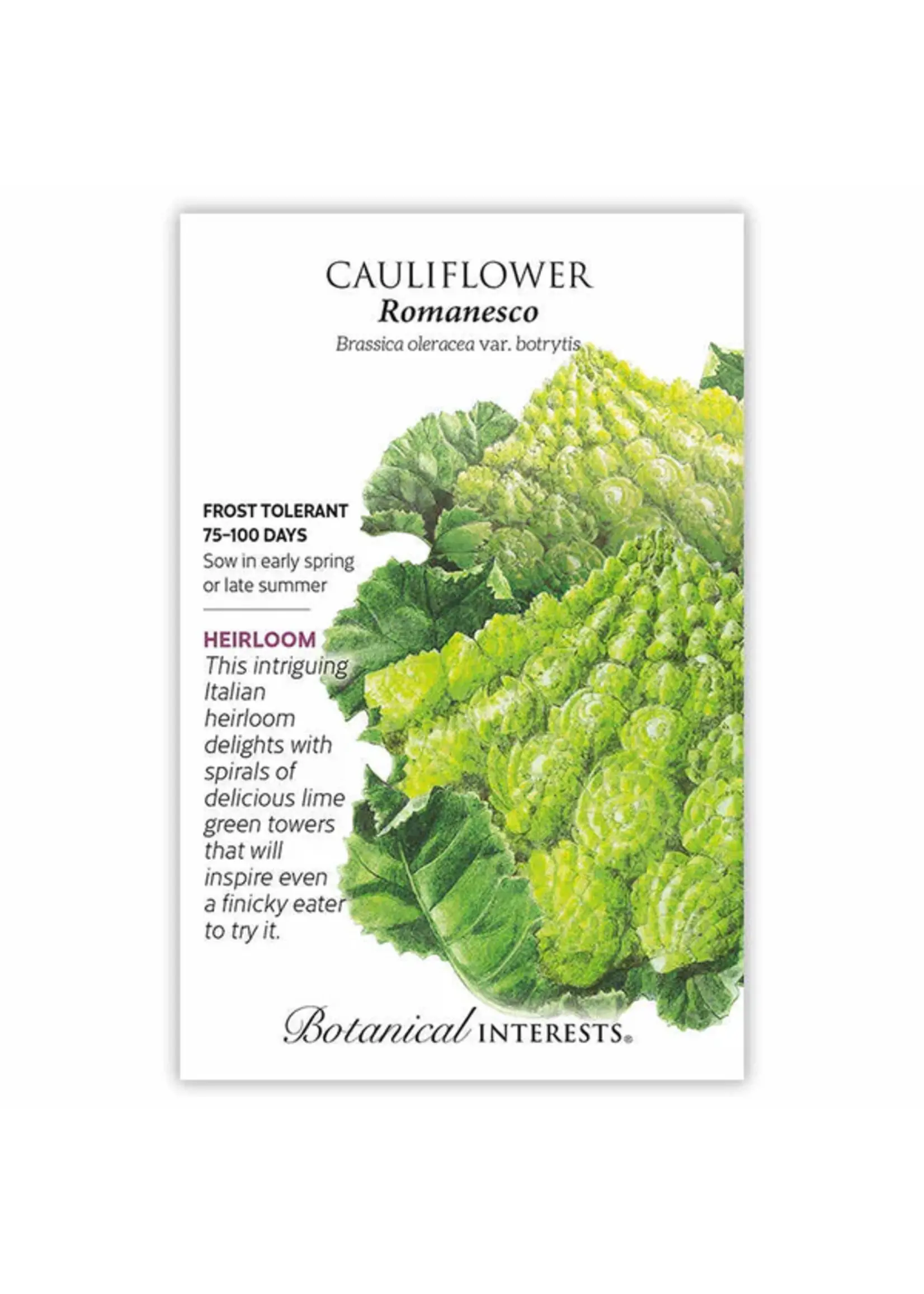 Botanical Interests Cauliflower Romanesco