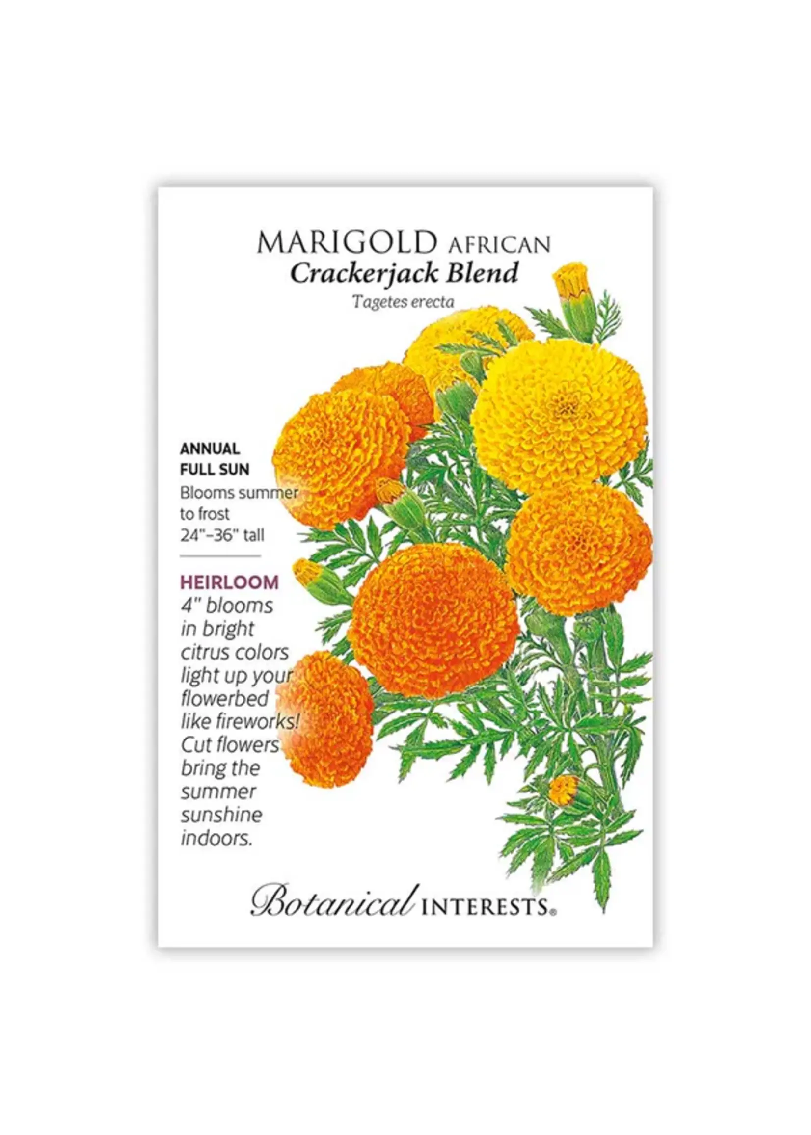 Botanical Interests Marigold African Crackerjack