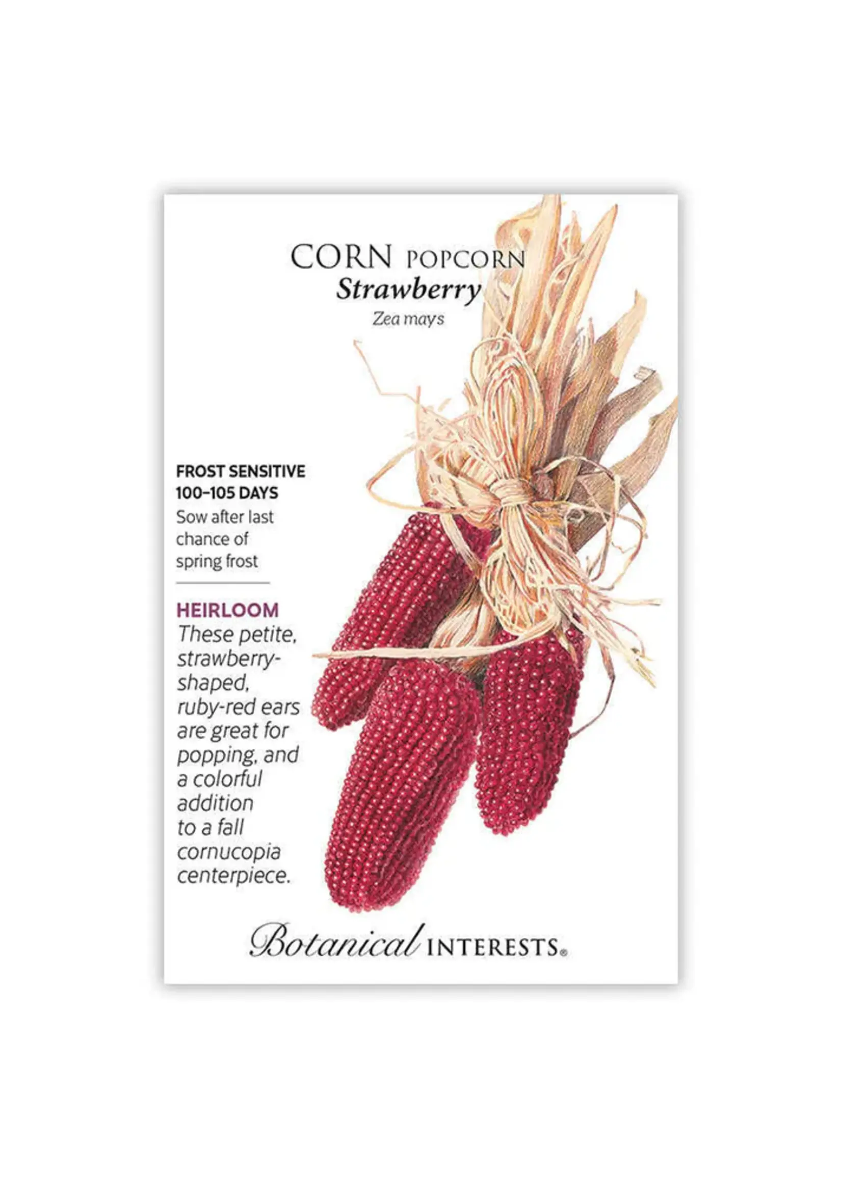 Botanical Interests Corn Popcorn Strawberry