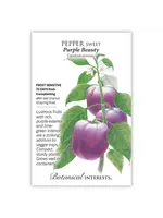 Botanical Interests Pepper Sweet Purple Beauty