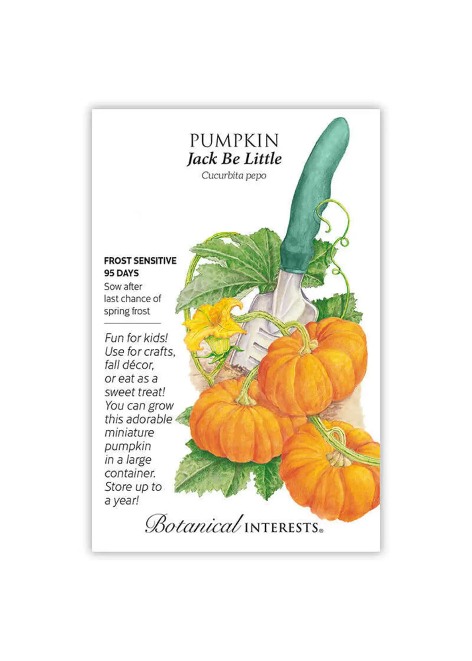 Botanical Interests Pumpkin Jack Be Little