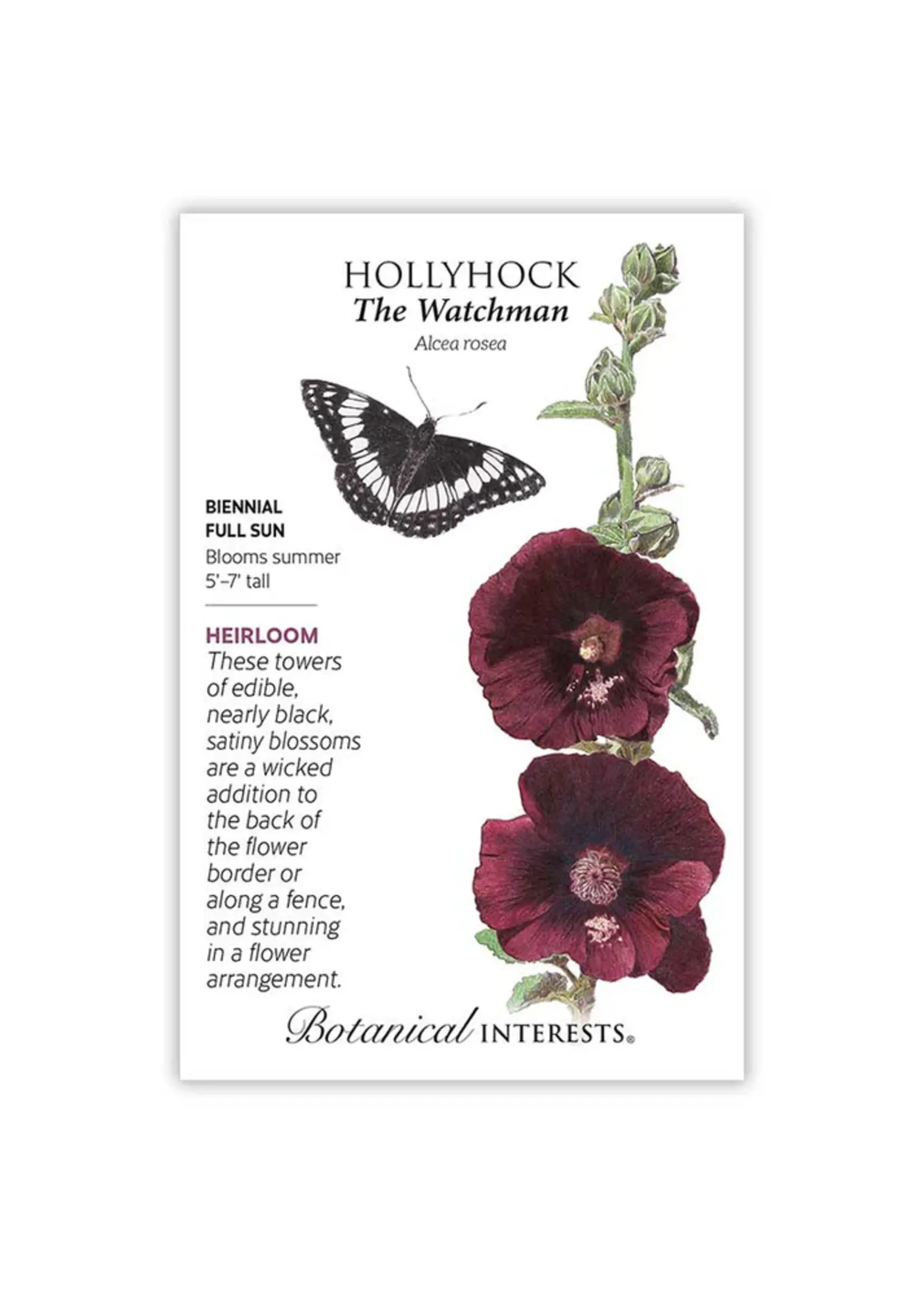 Botanical Interests Hollyhock The Watchman