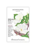 Botanical Interests Moonflower