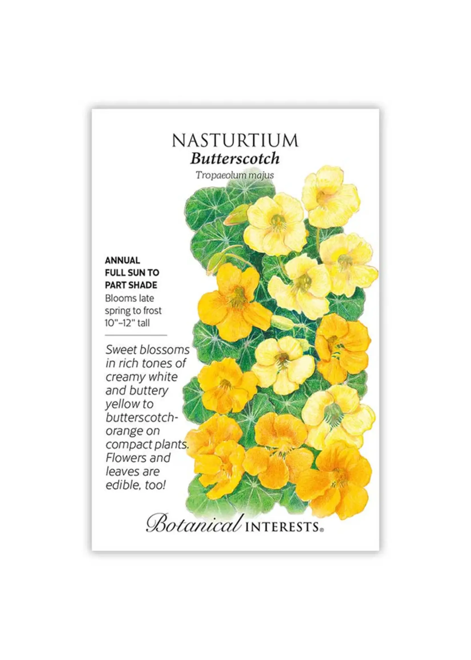 Botanical Interests Nasturtium Butterscotch