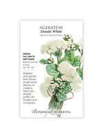 Botanical Interests Ageratum Dondo White
