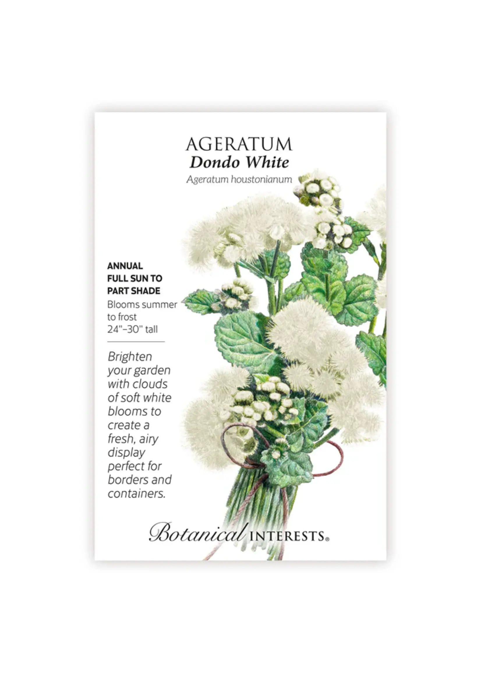 Botanical Interests Ageratum Dondo White