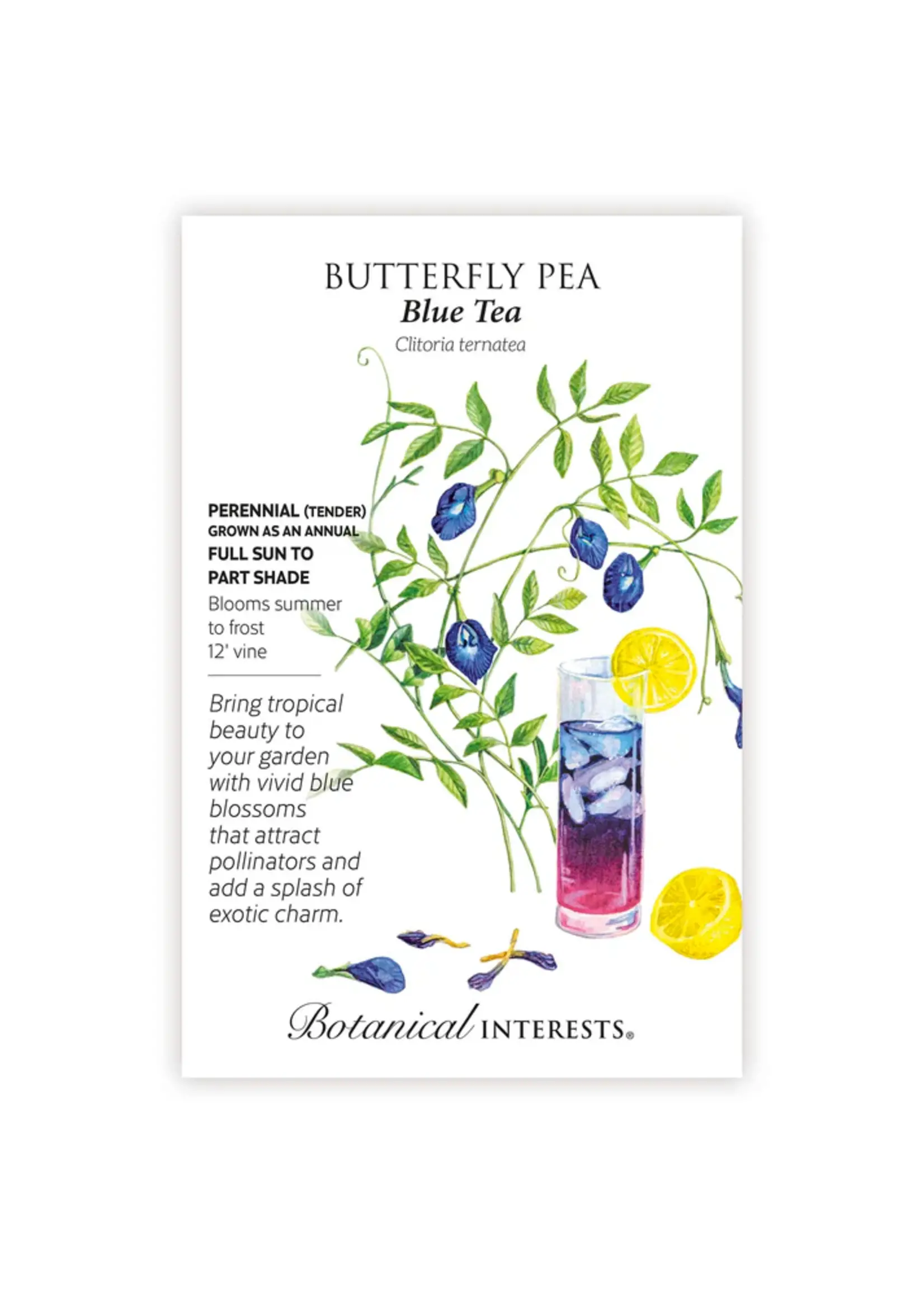 Botanical Interests Butterfly Pea Blue Tea