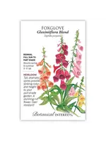 Botanical Interests Foxglove Gloxiniiflora Blend