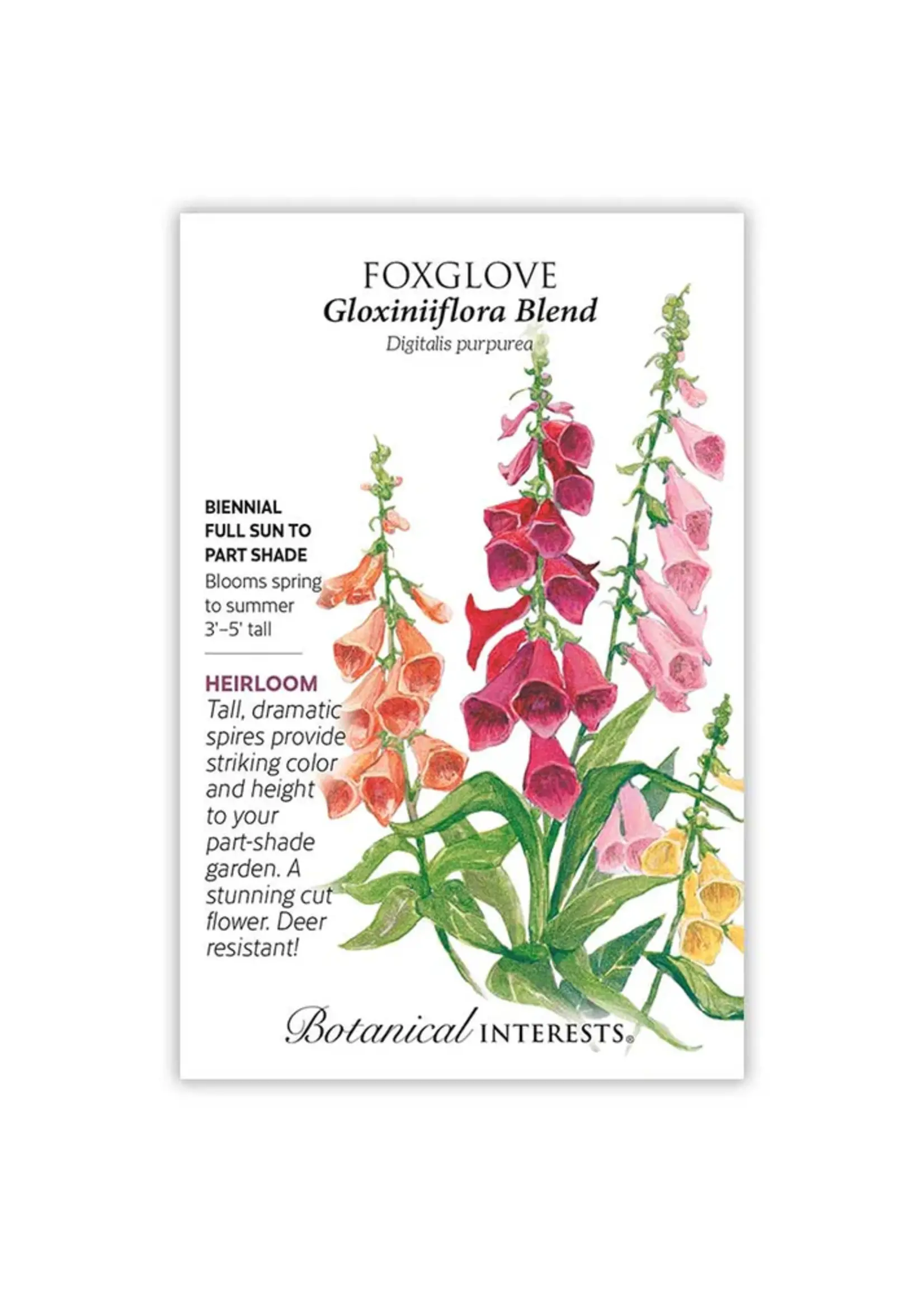 Botanical Interests Foxglove Gloxiniiflora Blend