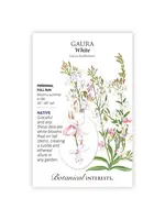 Botanical Interests Gaura White