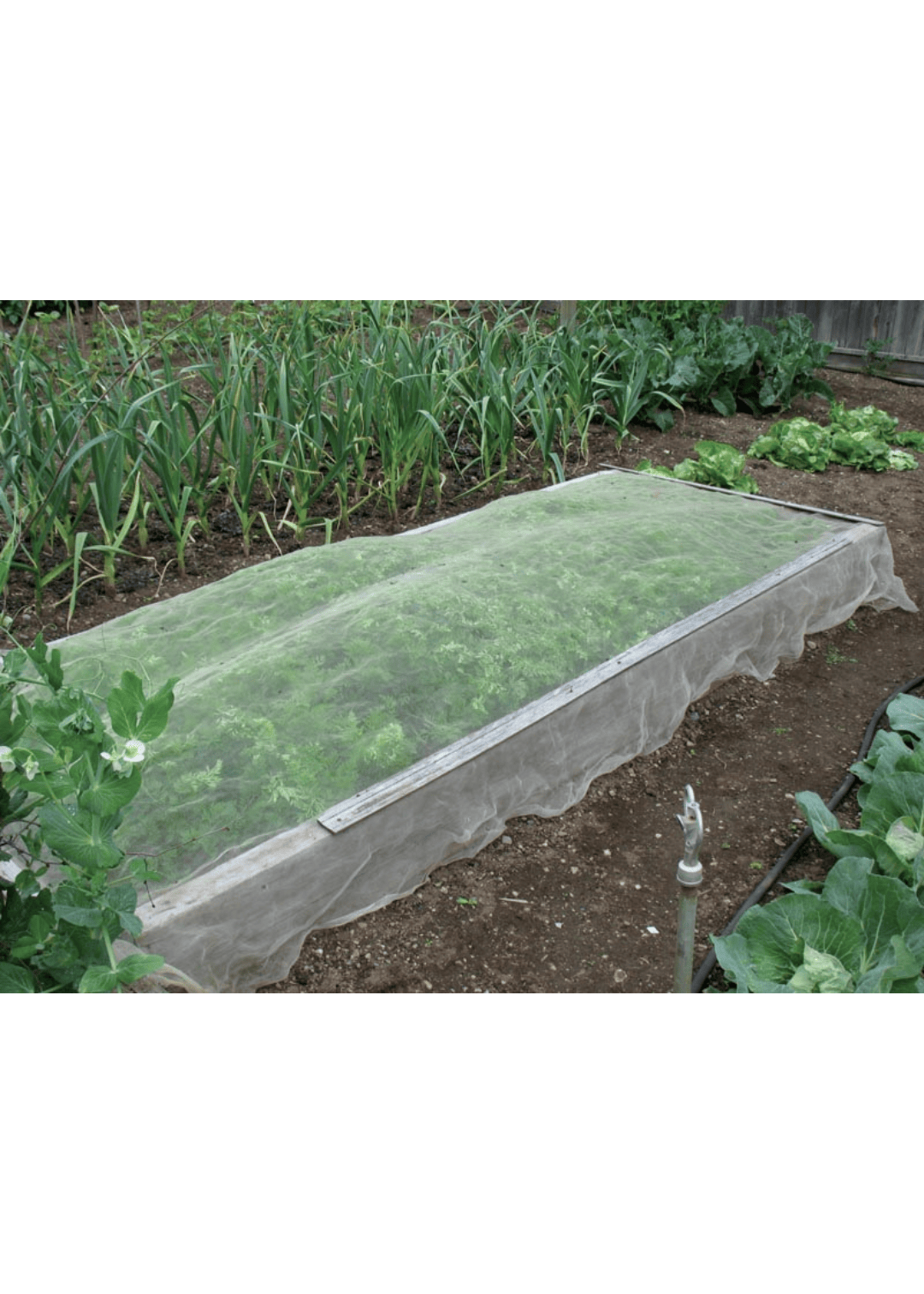 American Nettings & Fabric Inc BugOut Insect Garden Screen 6.5ft x 20ft