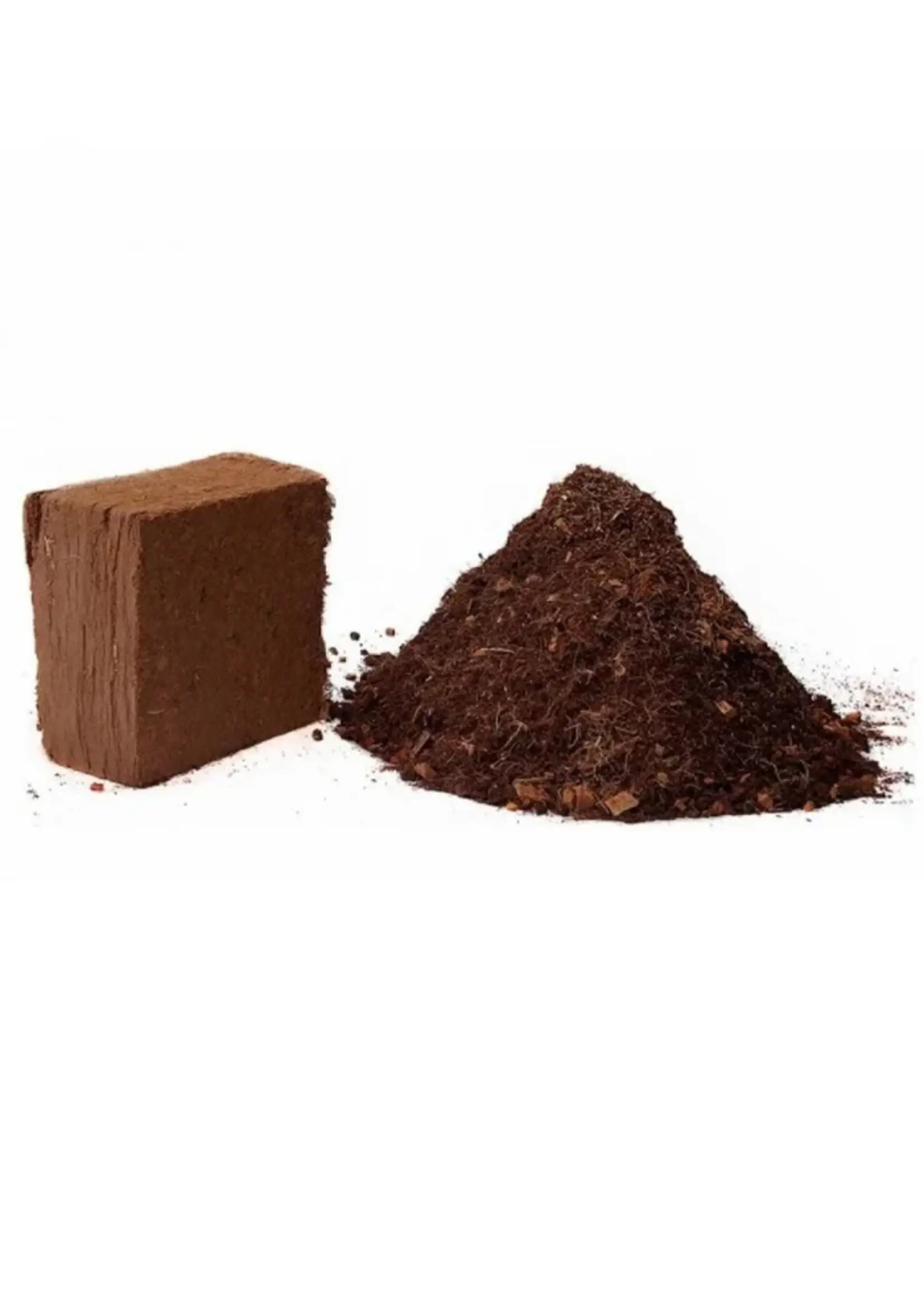 RASA 70/30 Coco Chip Raised Bed Mix 5KG