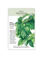 Botanical Interests Basil Italian Genovese Organic 6g