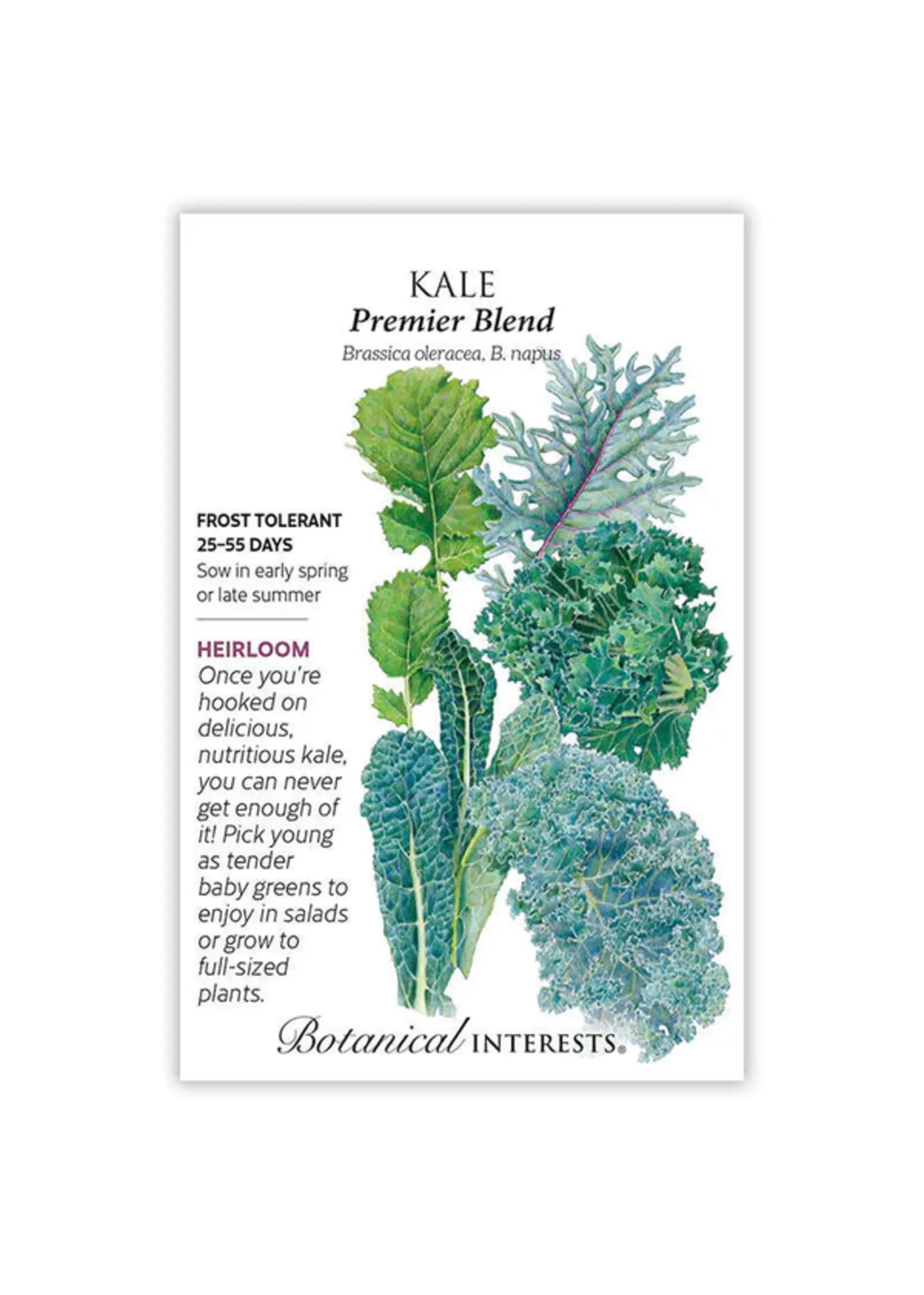 Botanical Interests Kale Premier Blend