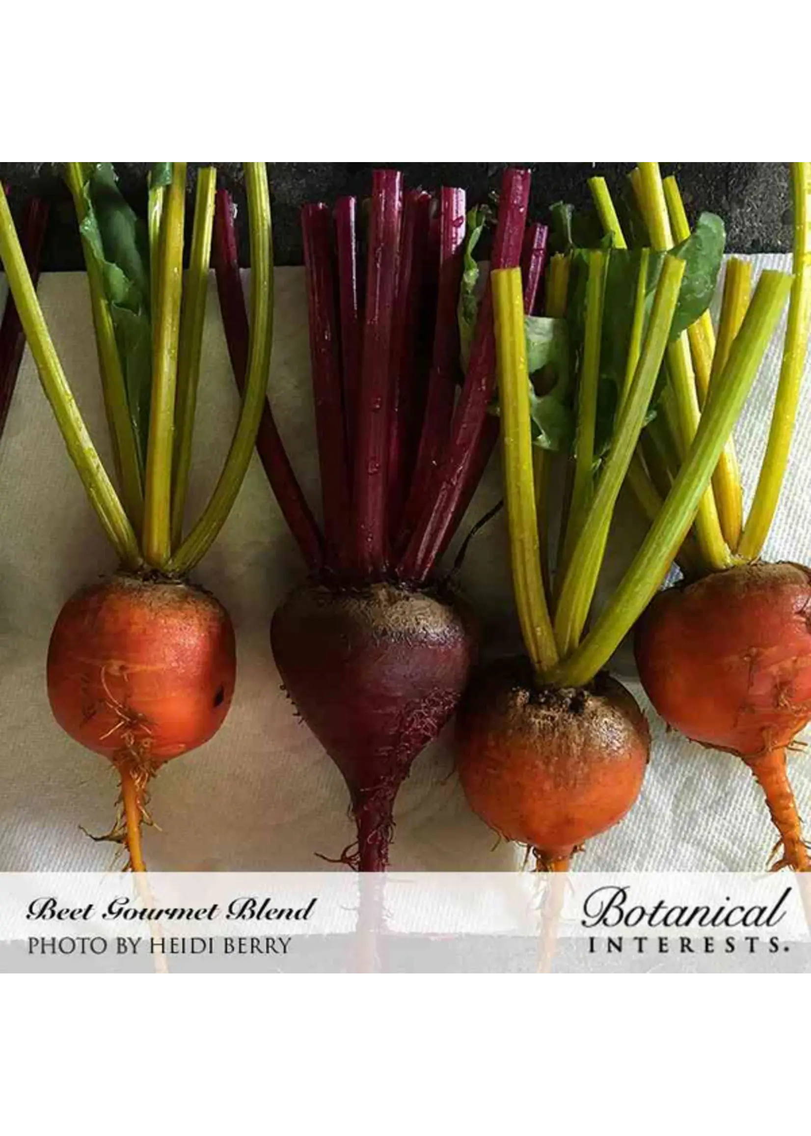 Botanical Interests Beet Gourmet Blend Organic 1.5g