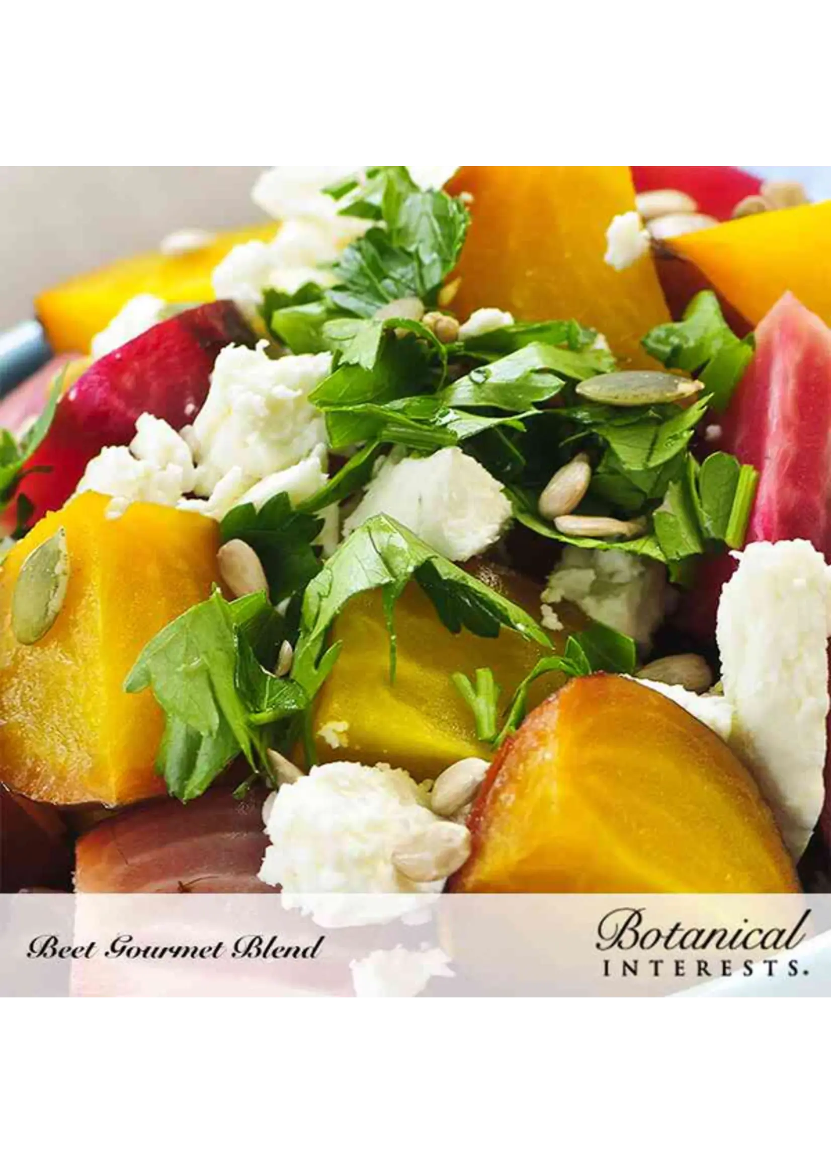 Botanical Interests Beet Gourmet Blend Organic 1.5g