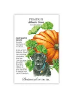 Botanical Interests Pumpkin Atlantic Giant