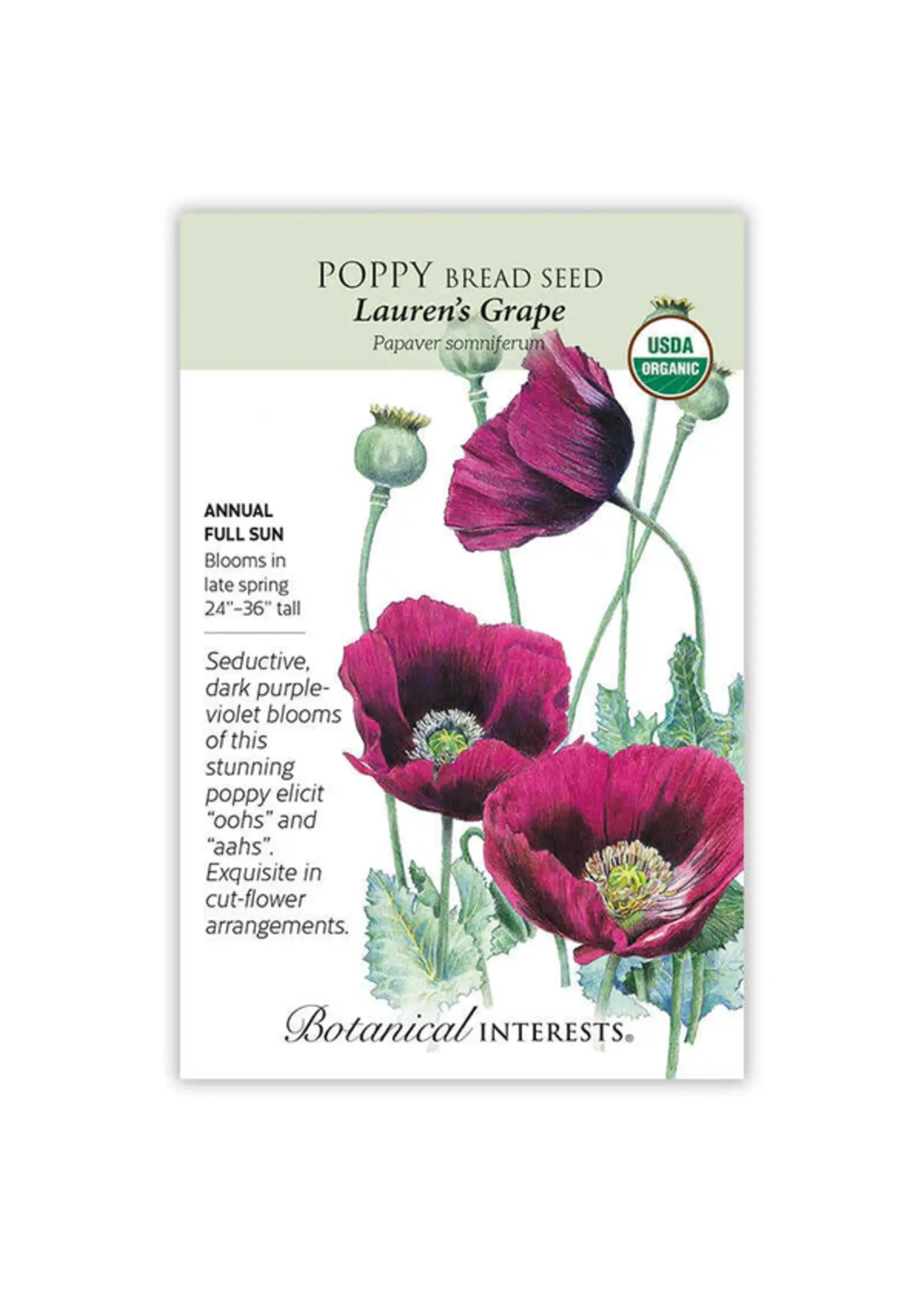 Botanical Interests Poppy Bread Lauren's Grape Organic