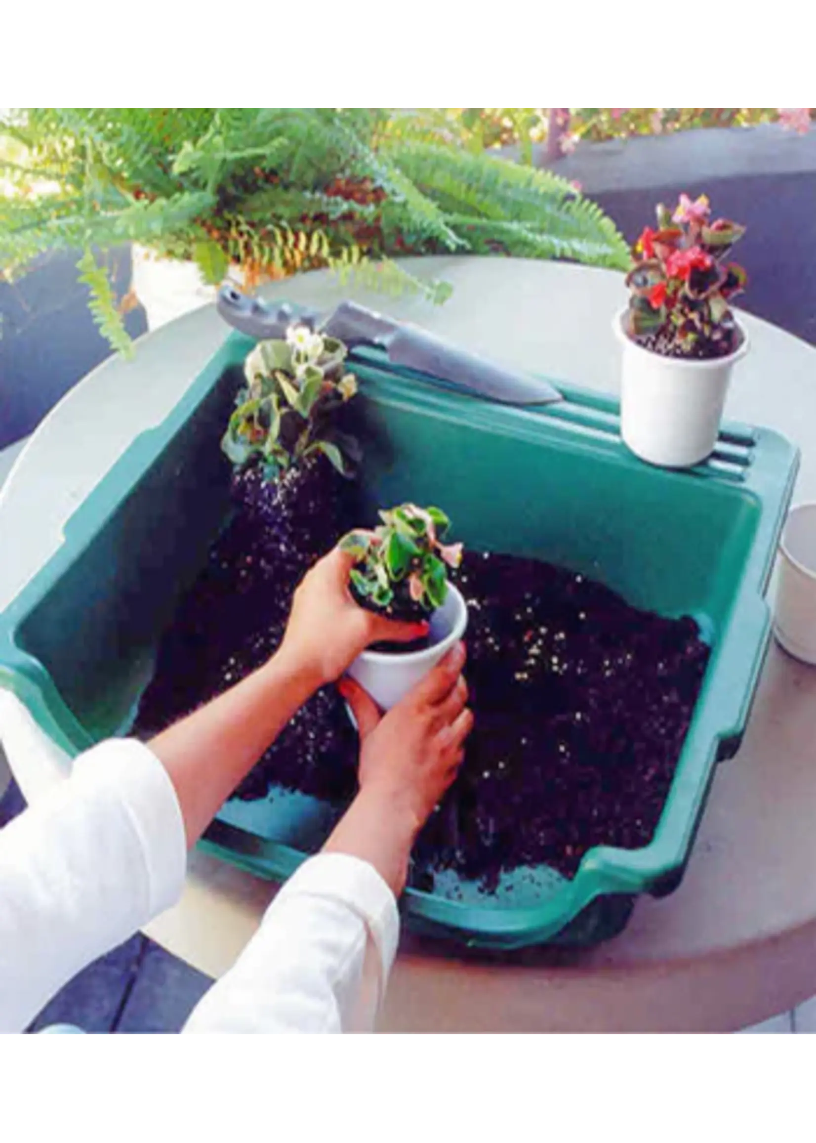 Argee Corp Table Top Gardener Portable Potting Tray